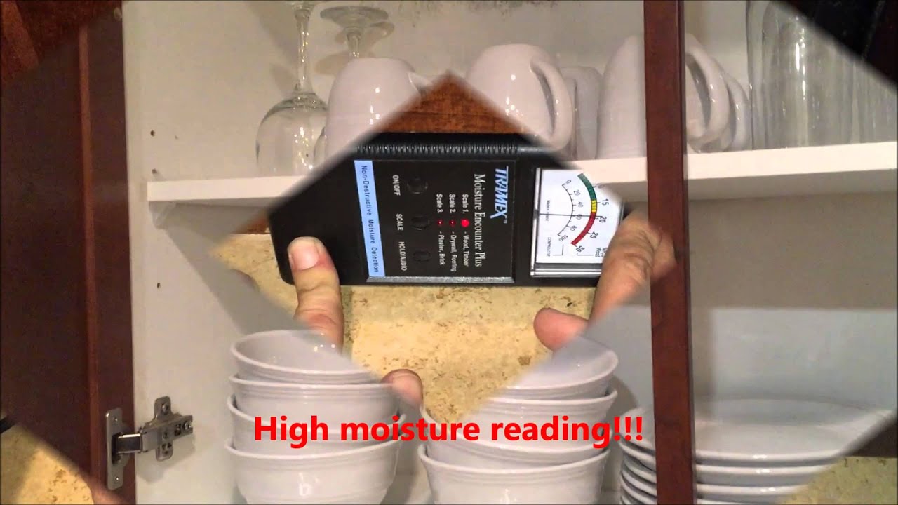 SERVPRO of Greater St. Augustine/St. Augustine Beach - Mold Inspection/Estimate in St. Augustine.