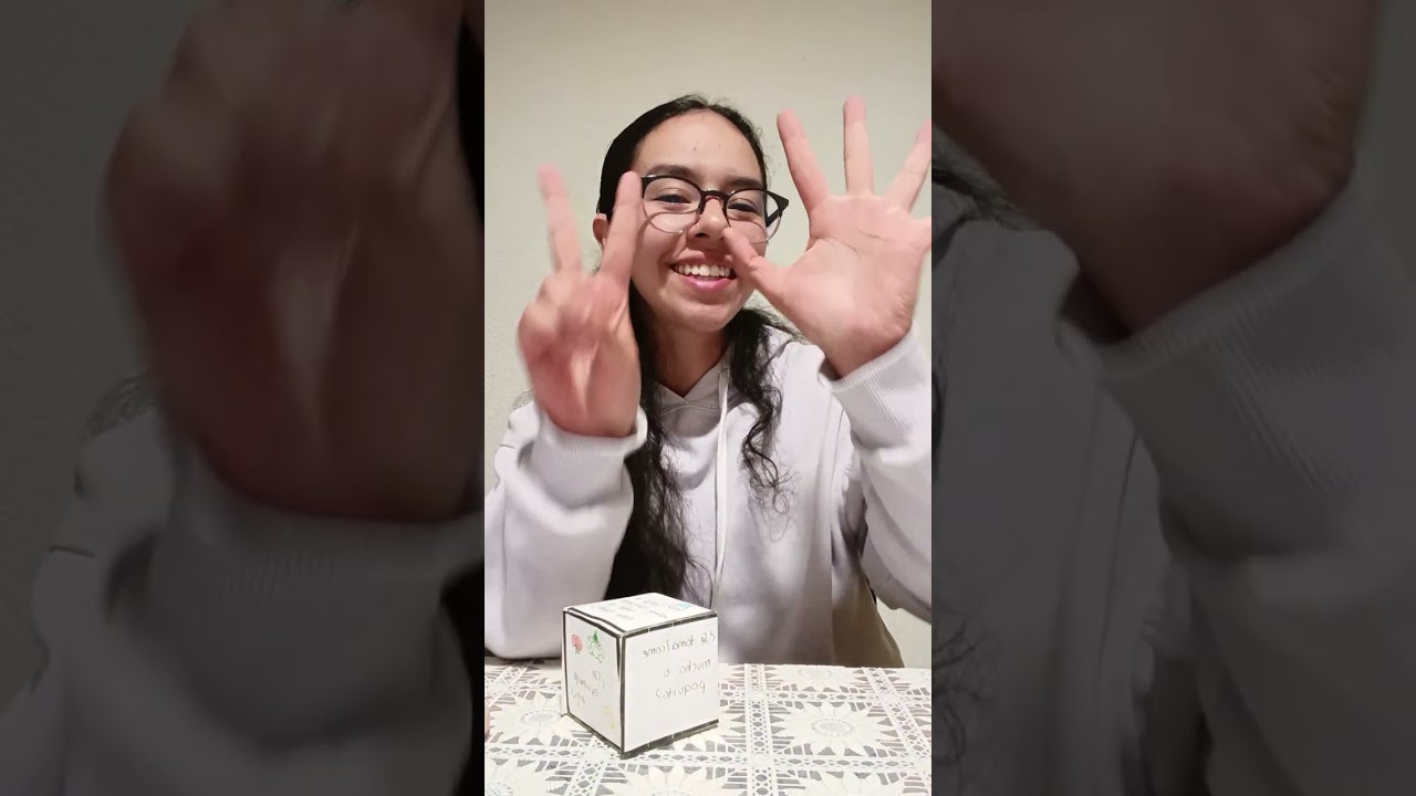 Actividad : Evidencia de aprendizaje 