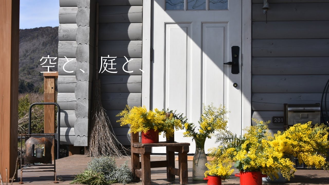 〔空と、庭と、迎える春分〕庭のお客さんたち🐝🕊️ミモザ摘み、私のノート、春のお彼岸、ぼた餅作りとお墓参り　(#05)