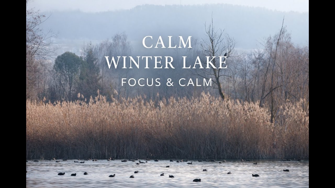 Peaceful Winter Lake | Deep Relaxation & Inner Calm ❄️