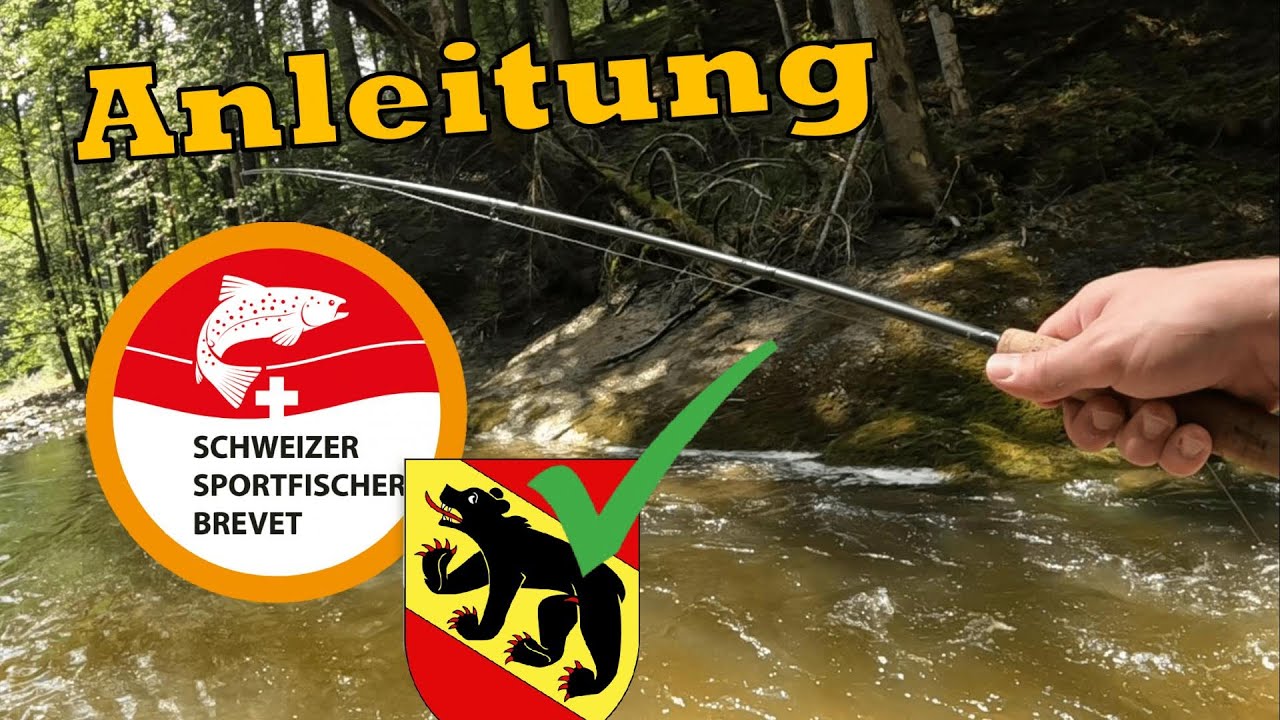 Forelle fangen und korrekt Töten! - Bergbach Folge 2