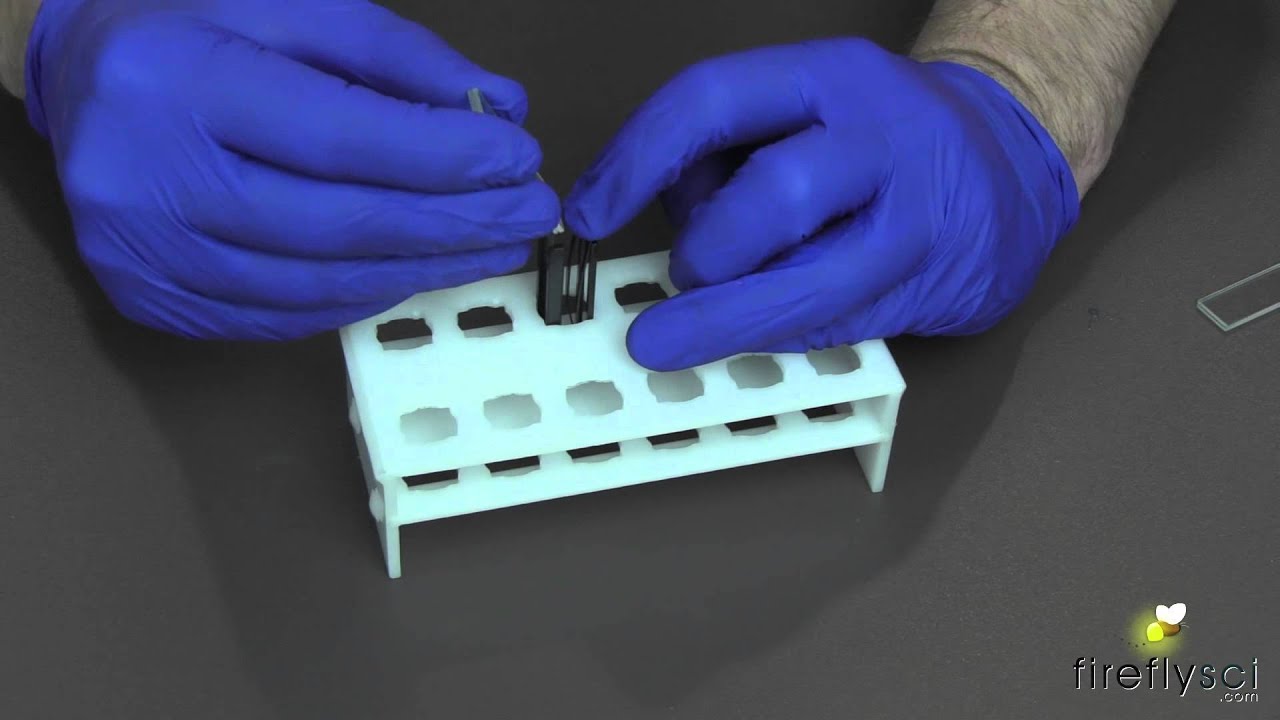 How to Use Type 20/19 Demountable Spectrophotometer Quartz Cuvette