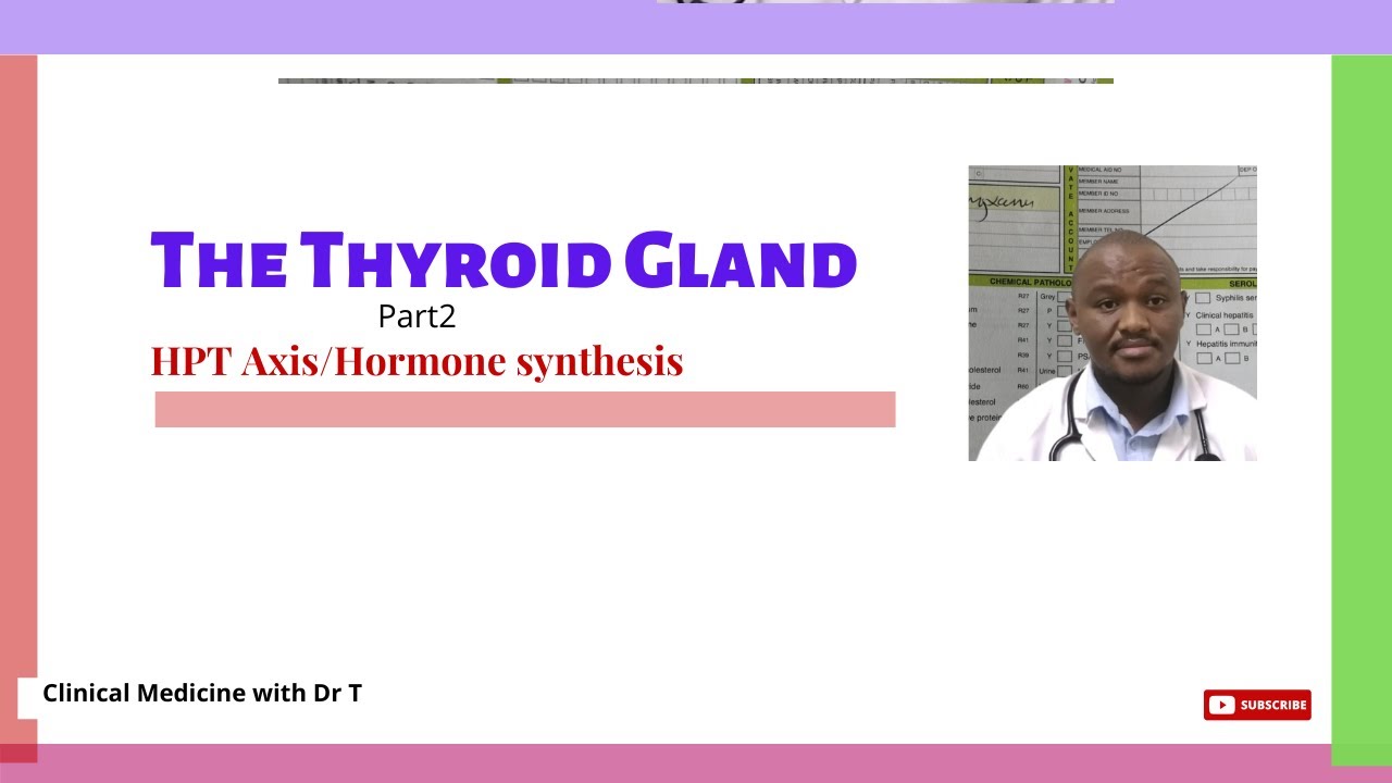 Thyroid Hormone Synthesis//HPT Axis//Part 1a