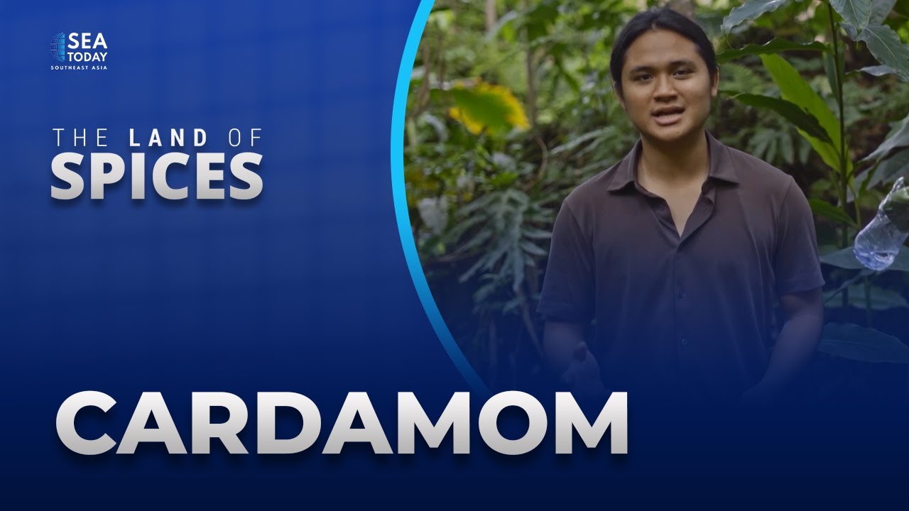 Land Of Spices: Cardamom