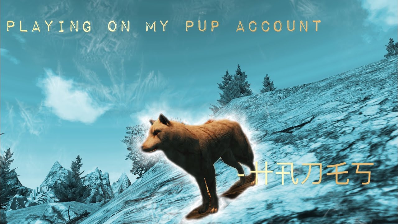 Playing on my pup account ~ 卄卂刀乇丂