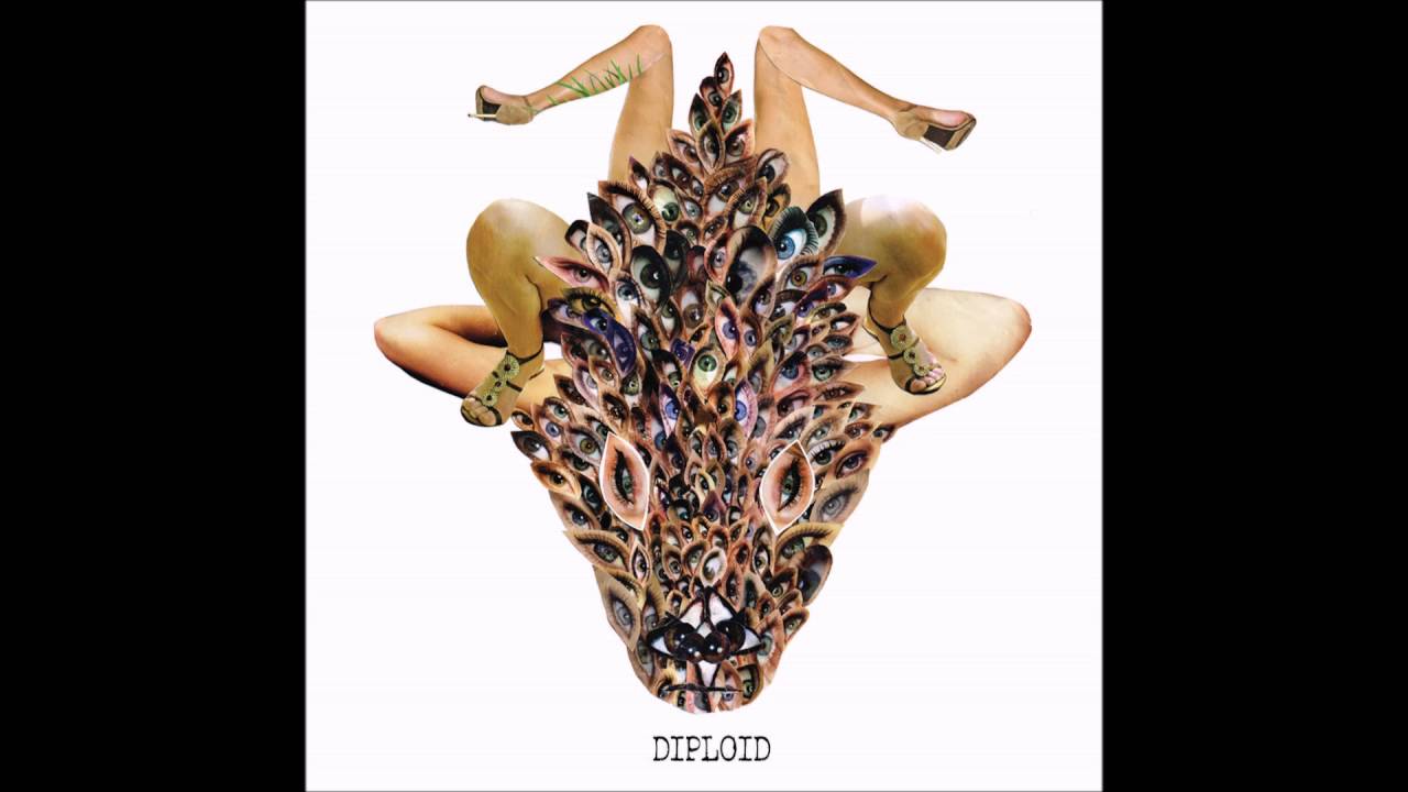 Diploid - 
