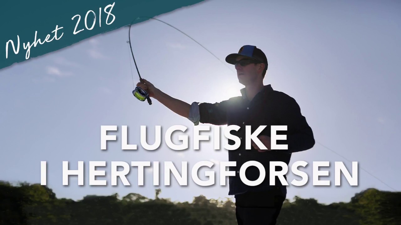 Flugfiske i Hertingforsen