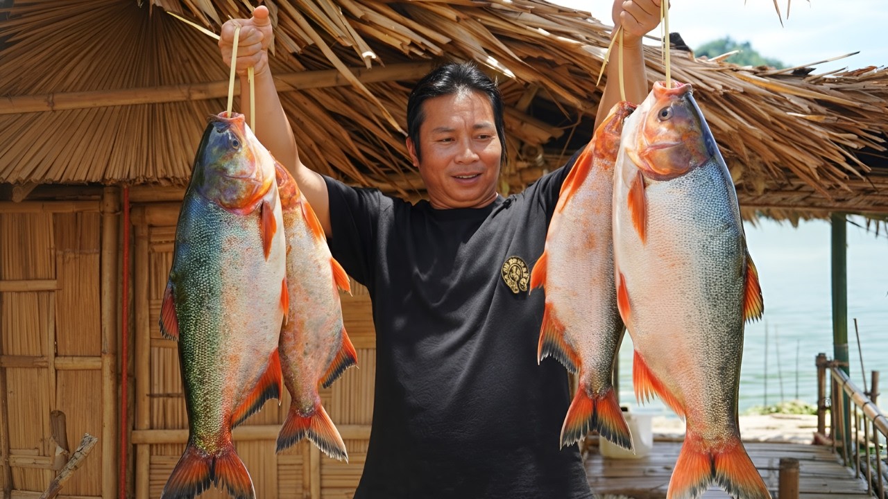 Casting nets to catch giant seabream - Weaving bamboo baskets, gathering wild vegetables