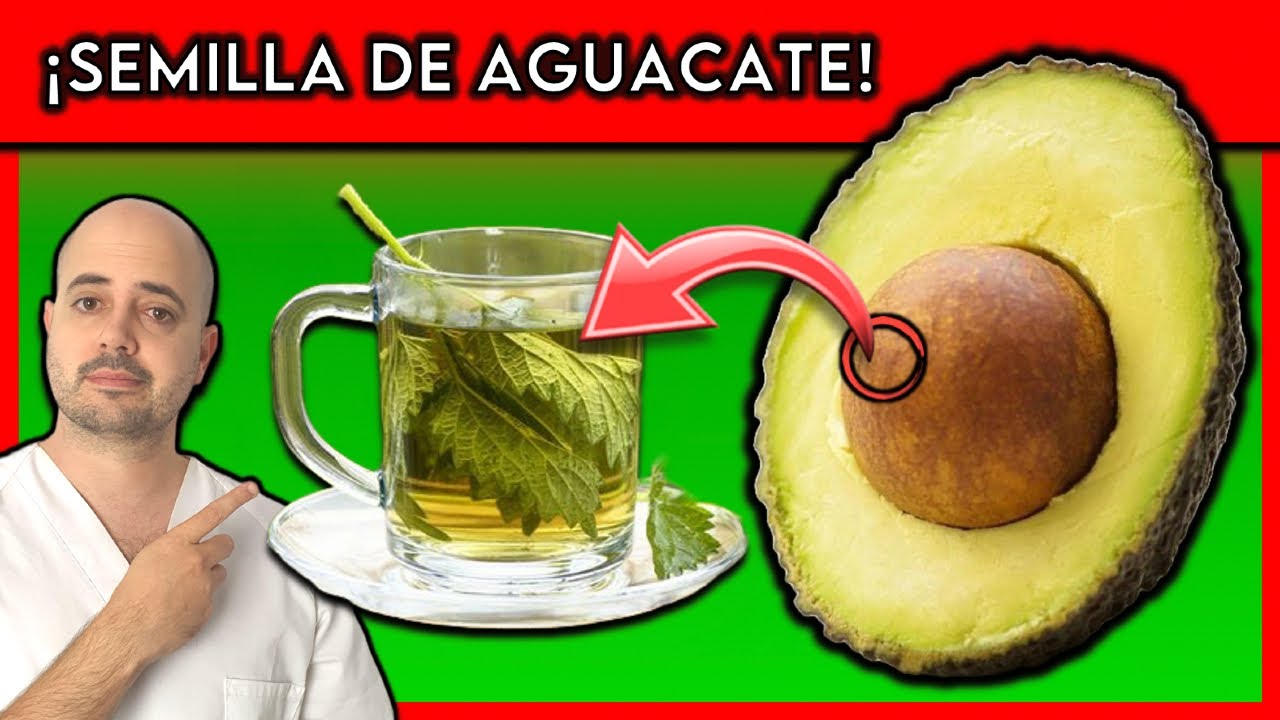 ENFERMEDADES que CURA la SEMILLA DE AGUACATE || &iquest;COMO TOMARLA?