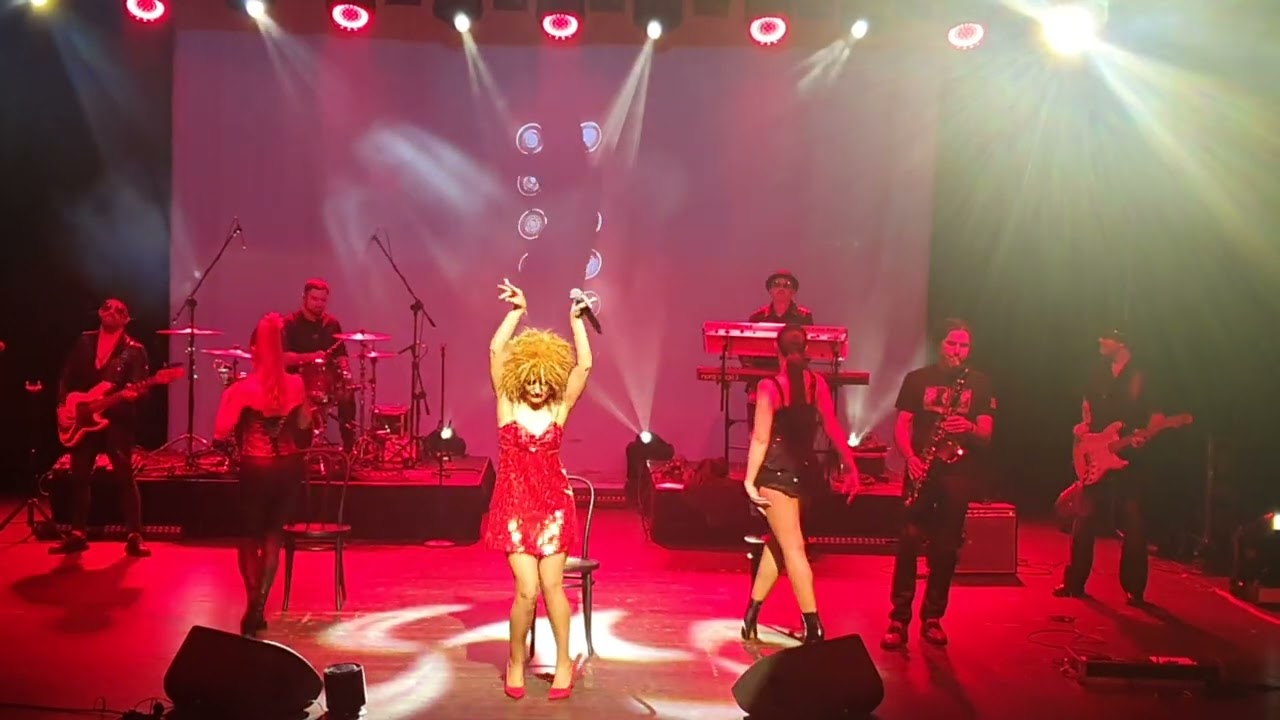 Private Dancer - (Tina Turner)