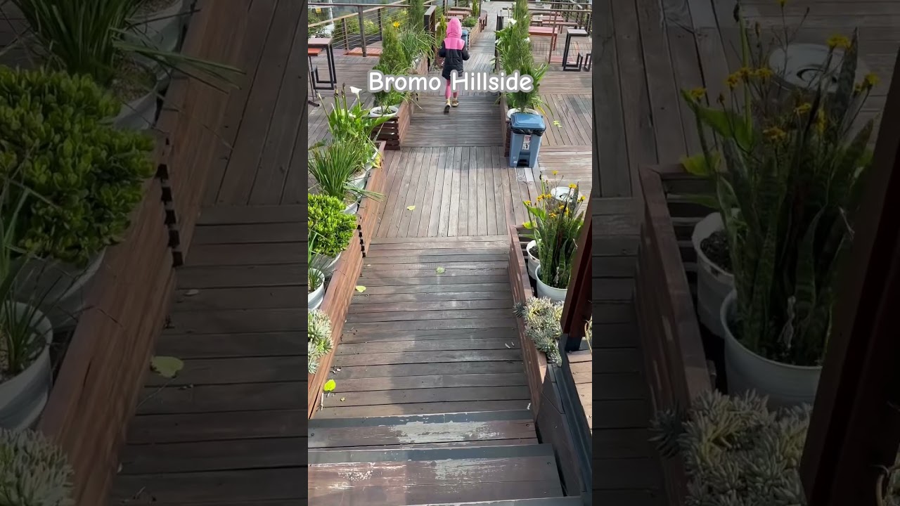 Bromo Hillside #mountains #mountain #bromo #shorts #youtubeshorts #cafe #viral #vacation #liburan