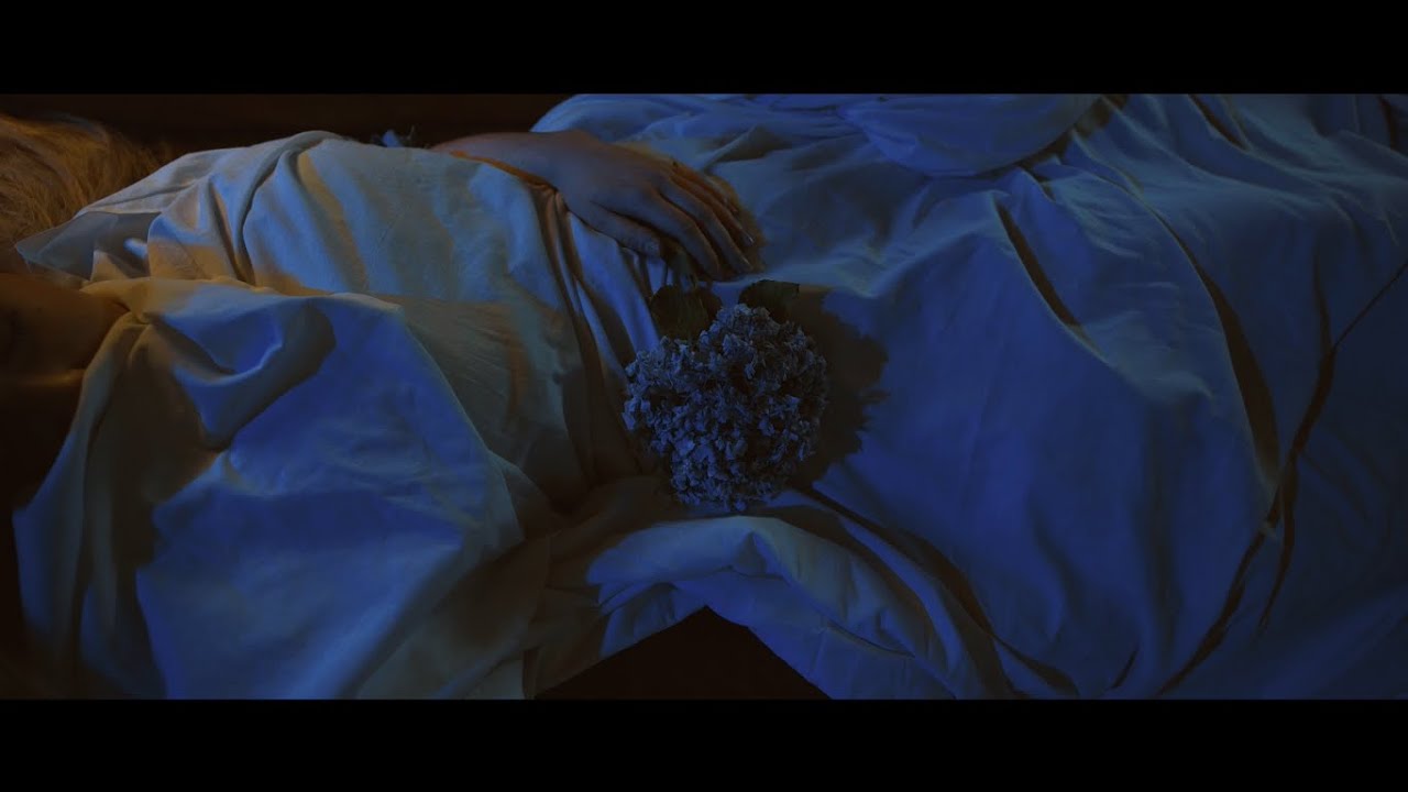 Griever - Love & Decay (Official Music Video)