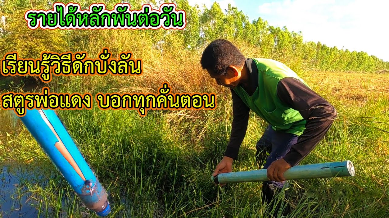 ถ้าคุณ ดักปลาไหลไม่เป็น ดูคลิปนี้จบรับลอง คุณจะมีรายได้หลักพันต่อวัน เรียนรู้วิธีดักบั่งลัน พ่อแดง