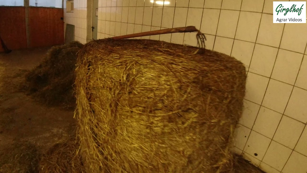 Farmvlog #16 Heizanlage defekt? Was passiert beim Ausmisten? Spezialwerkzeug zum Rundballenaufl&ouml;sen
