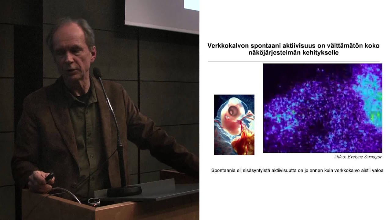 Prof. Kai Kaila: Onko ihminen oman onnensa seppä?
