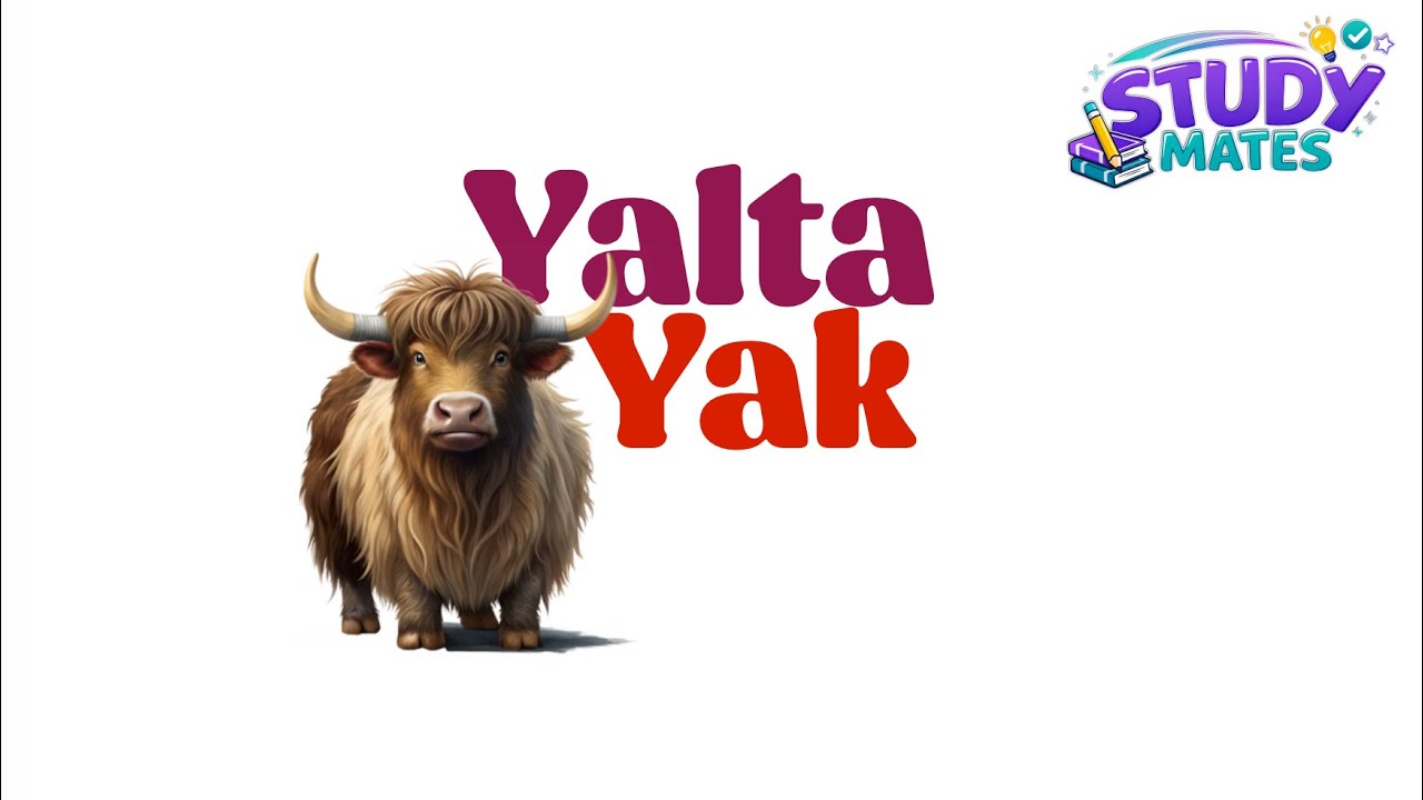 Avance diario ABCs - Yalta Yak 