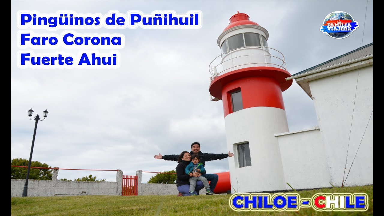 Pingüinos, Faro y Fuerte Ahui - Ancud | Chiloe
