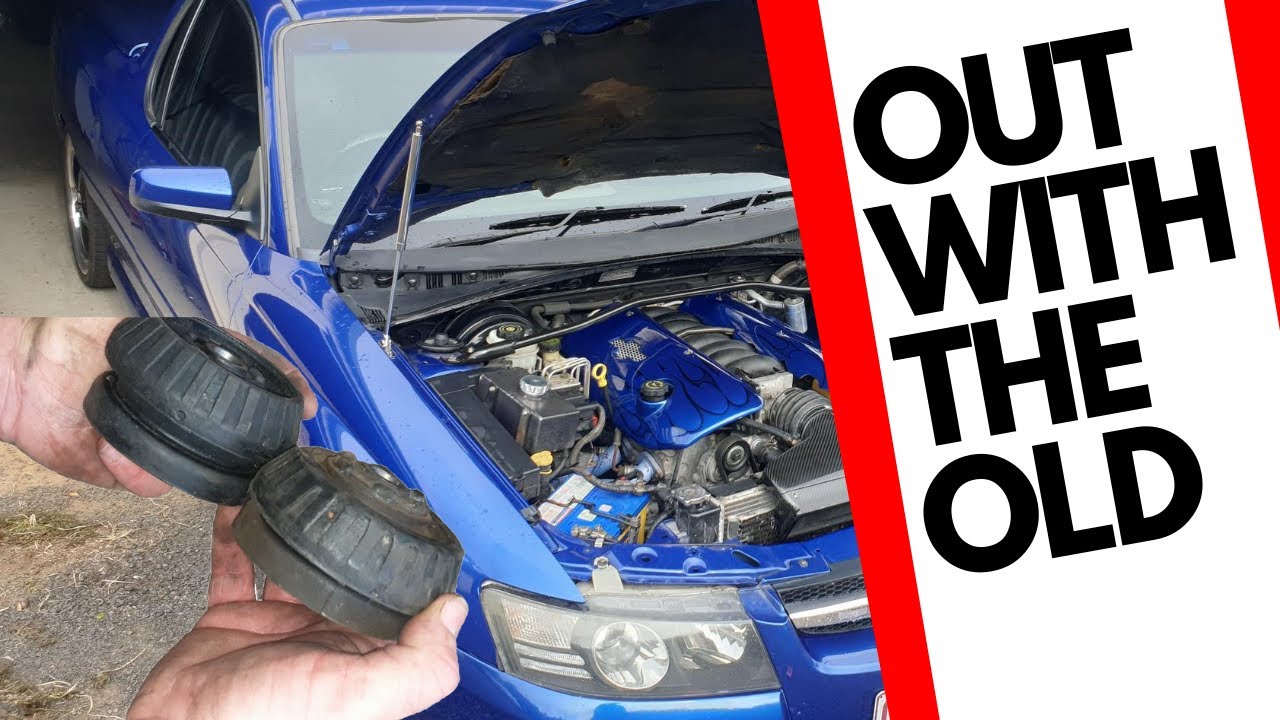 VZ SS Ute Strut Bearings