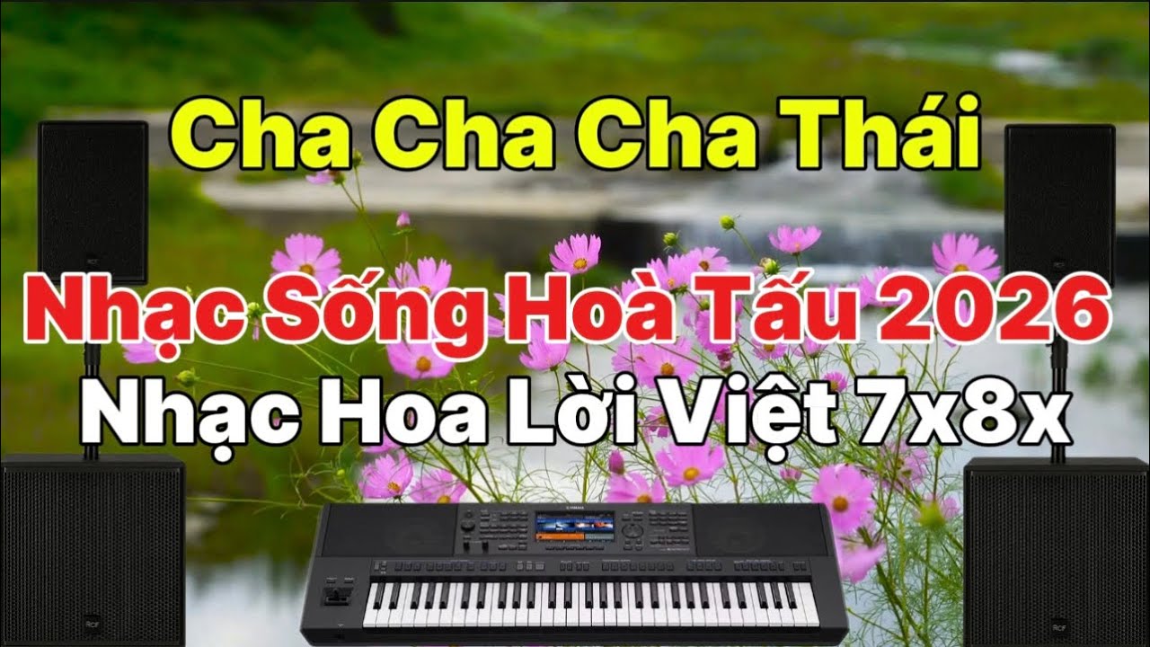Lk ChaChaCha Thái Nhạc sống Hoà Tấu Guitar / Nhạc Hoa Lời Việt 7x8x Mới 2026 ! 