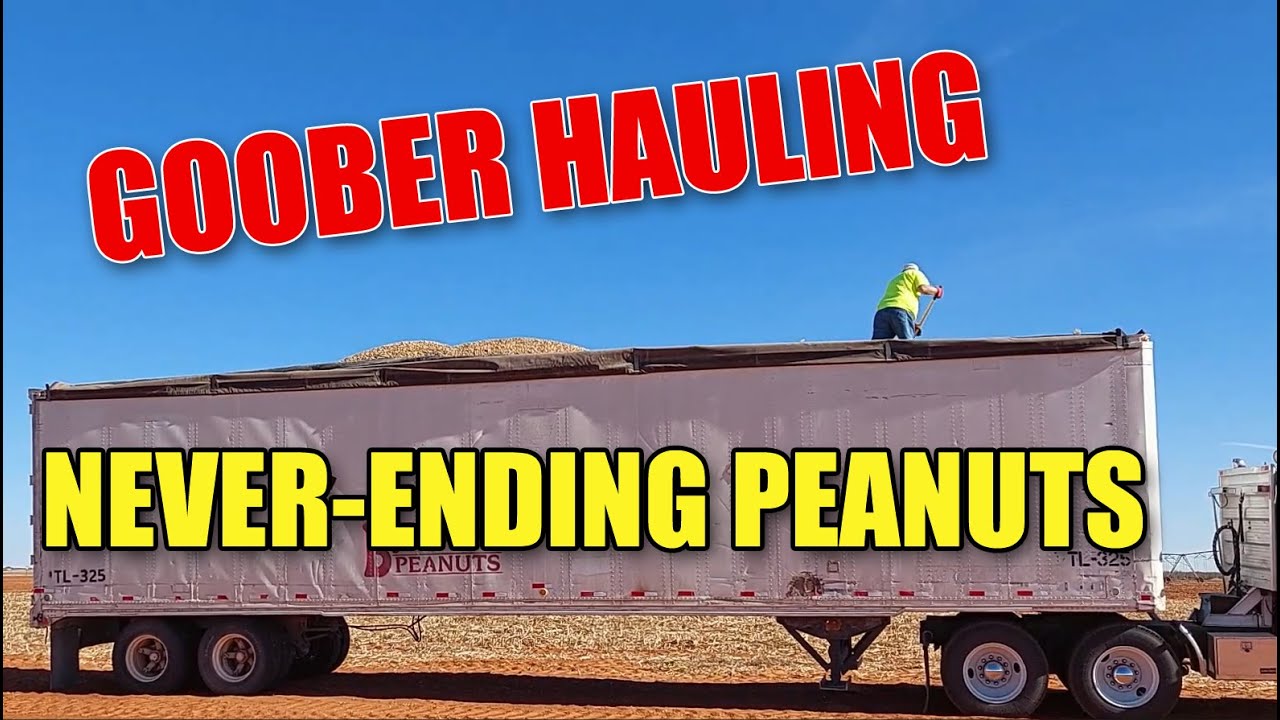 What does 20 Tons of Peanuts Look Like? A Day in the Life of a Goober Hauler in West Texas