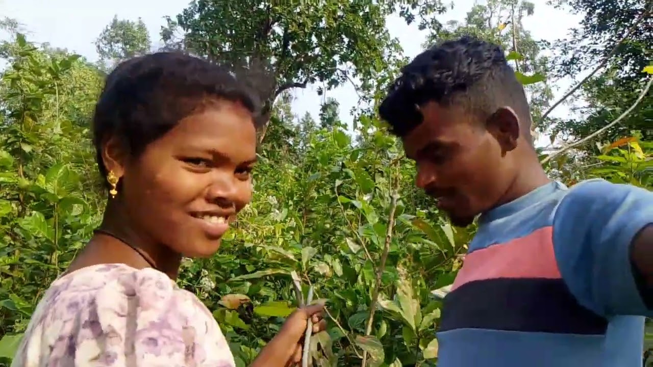 ଜଙ୍ଗଲ ଏଥିପାଇଁ  ଆସିଗଲି  🤣  ଆଉ  କାମ ସରିଯିବ Dibar odia blog