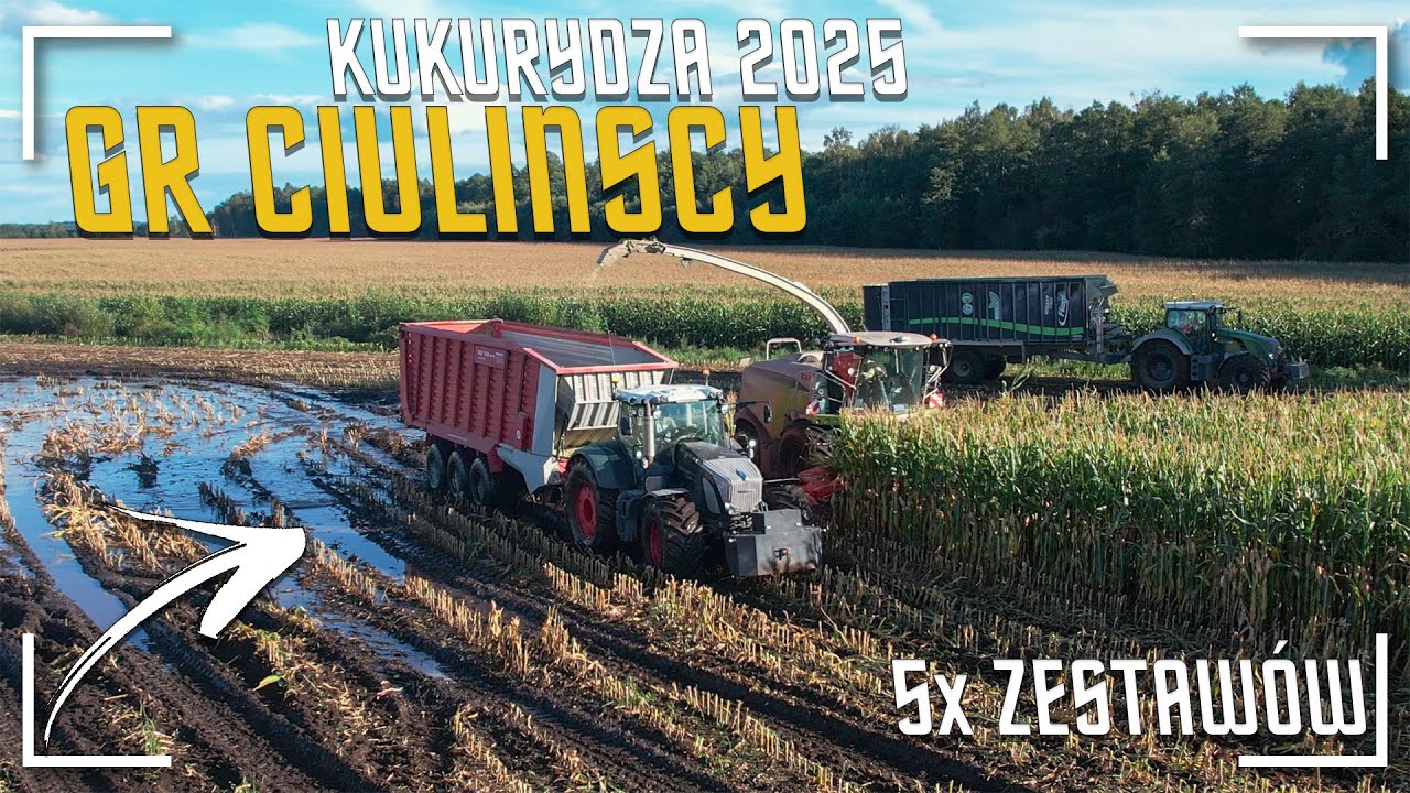 ☆🔥🚜Misja 300ha🌽Zbiór Kukurydzy 2025 w GR Ciulińscy🌽🔥Nowa Sieczkarnia☆🔥🚜Claas Jaguar 980🔥💪5x Odwozy🔥☆