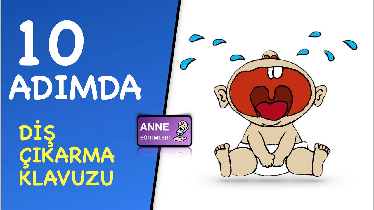DİŞ ÇIKARMA KLAVUZU (İlk Diş, Diş Çıkma Sırası, 10 Soru, Süt Dişleri)
