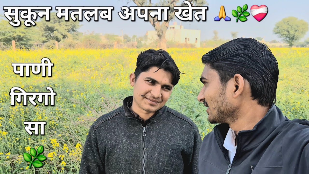 Village Life Vlog - अपने खेत में गेहूं की सिंचाई। 