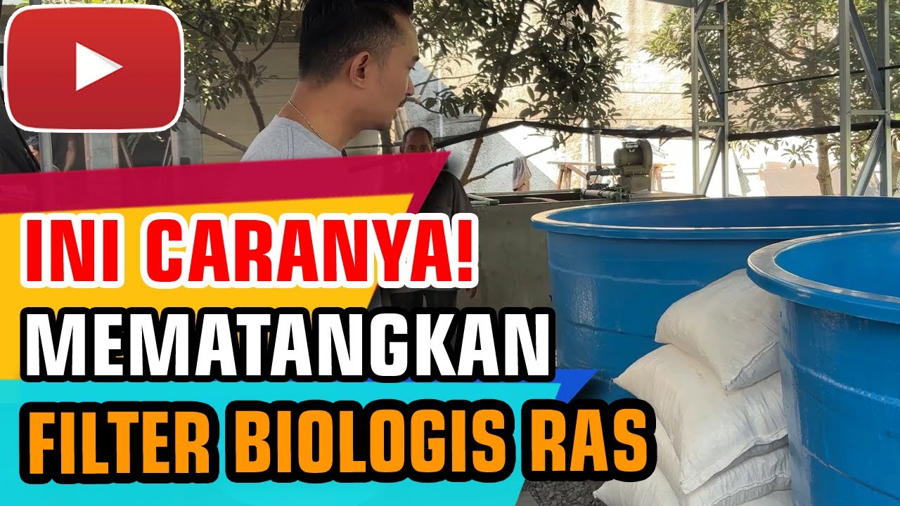 CARA MEMATANGKAN FILTER BIOLOGIS SISTEM RAS IKAN NILA