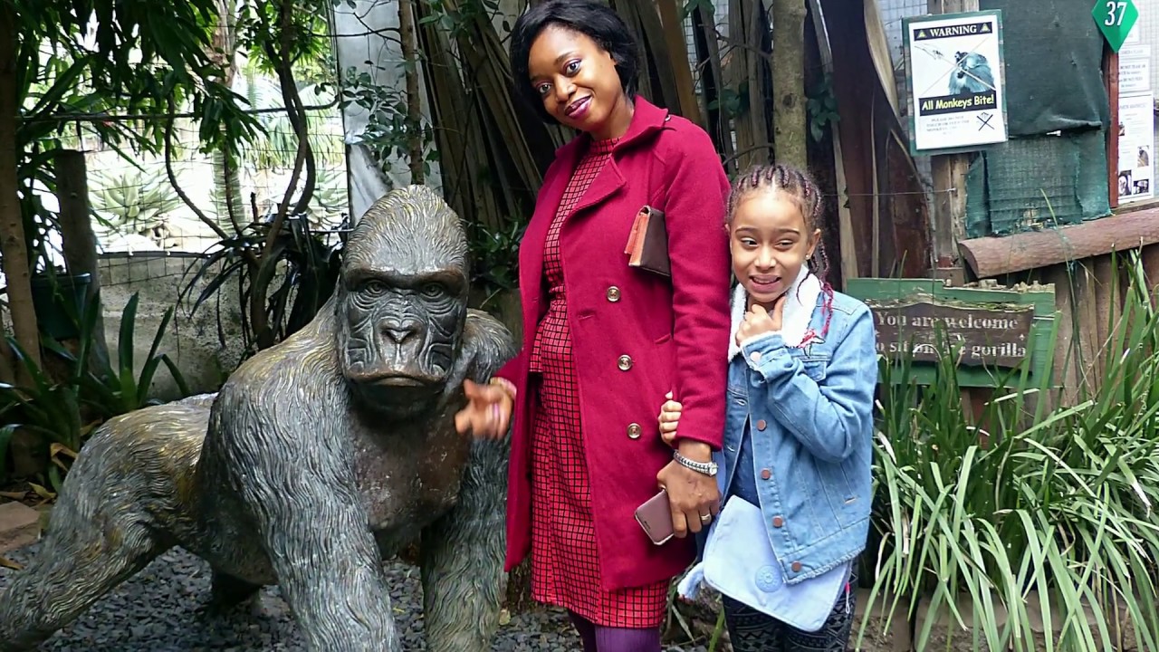 World of Birds 2018 Hout Bay /Cape Town