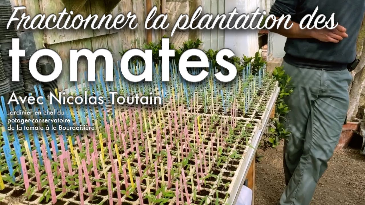 La collection de tomates du château de la Bourdaisière et le fractionnement dans nos jardins.