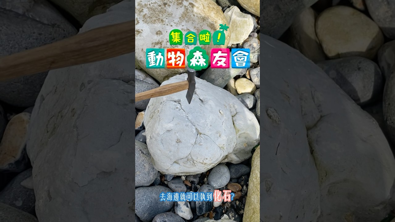 在英國找化石攻略！【在說明欄】