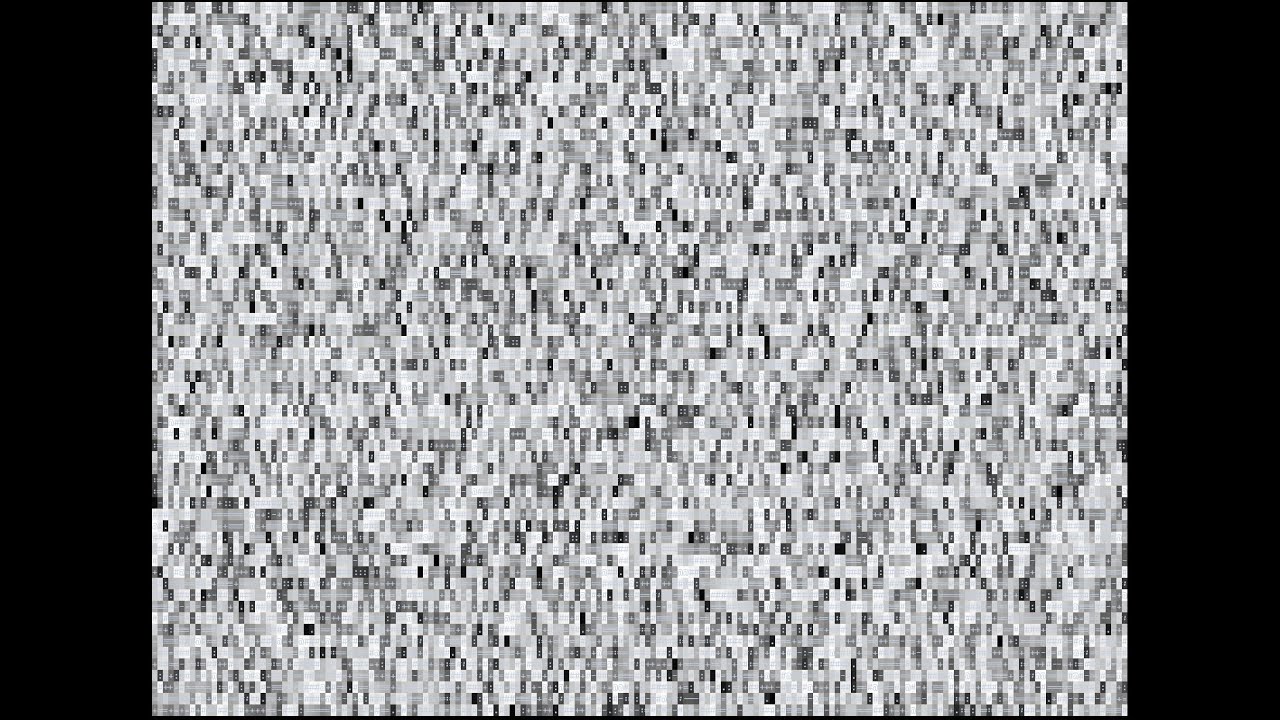 Bad Apple!! but it's ASCII... and it disappears when you pause