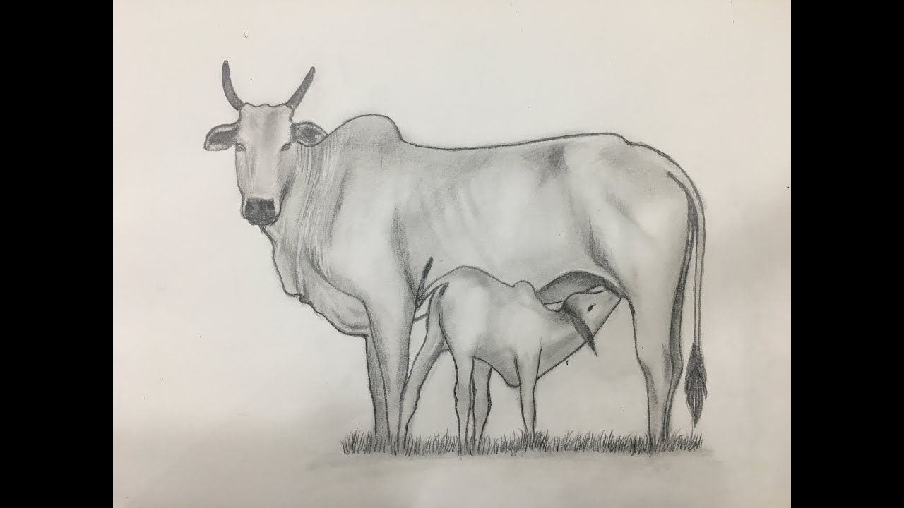 A Mother’s Love – Cow and Calf Pencil Art