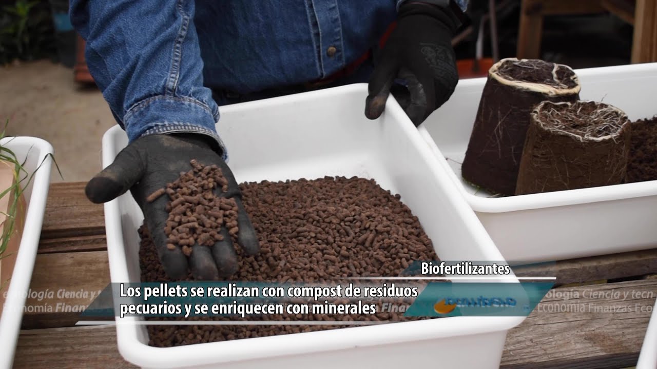 Pellets de compost para cultivos intensivos