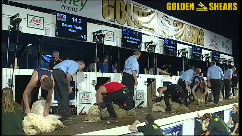Golden Shears 2014 - World Shearing Final