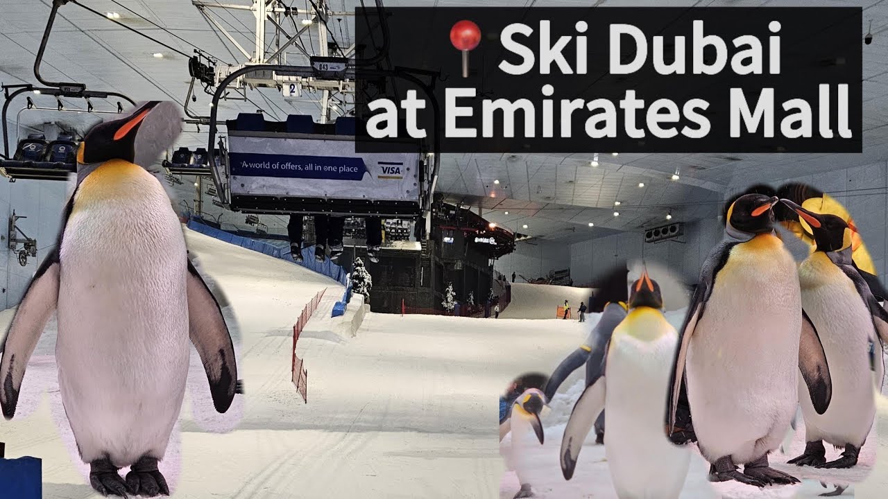 Ski Dubai-Full tour + Ticket price, Best activity in summer in dubai 
