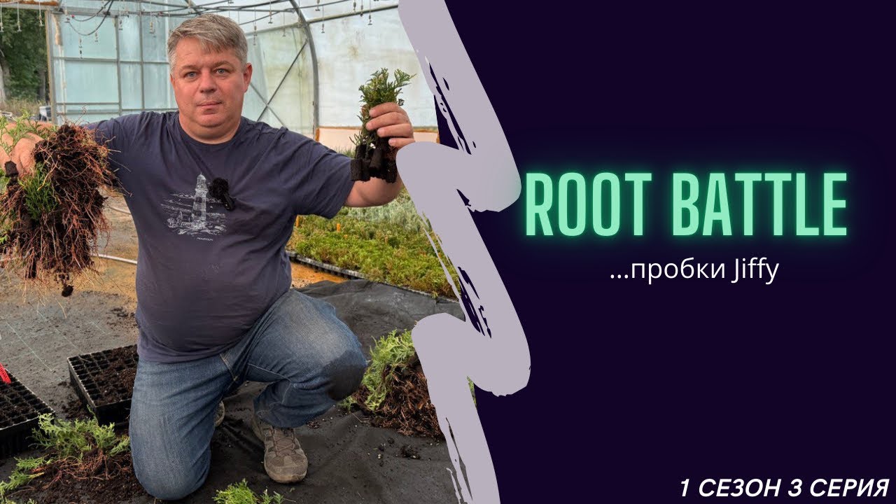 ROOT BATTLE &hellip;пробки Jiffy