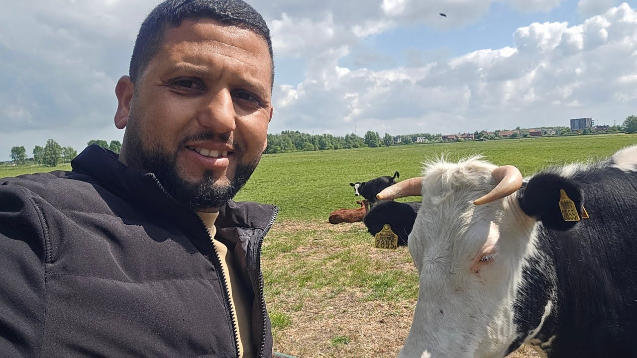 شوفوا مادا واجدنا في واحد المزرعة في هولاندا العيد الأضحى