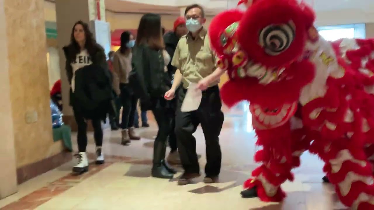Lion dance
