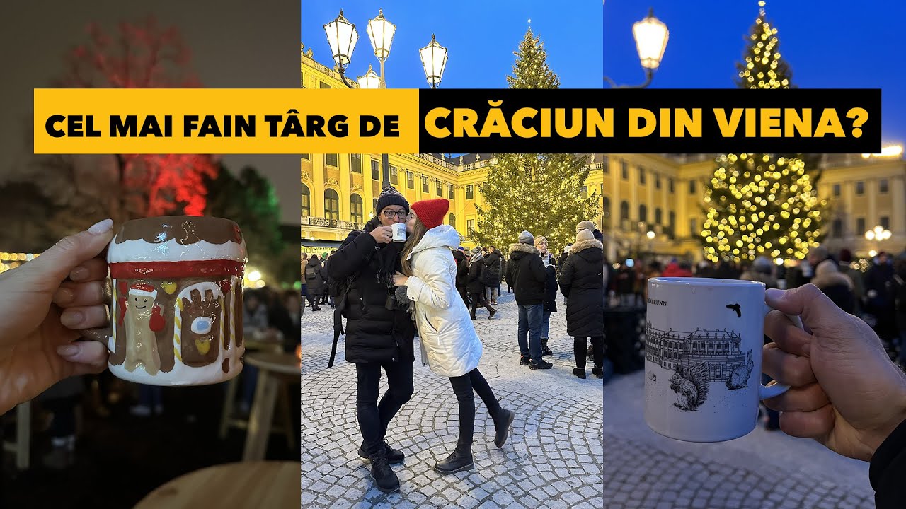 Merită să mergi la TÂRG DE CRĂCIUN în VIENA?