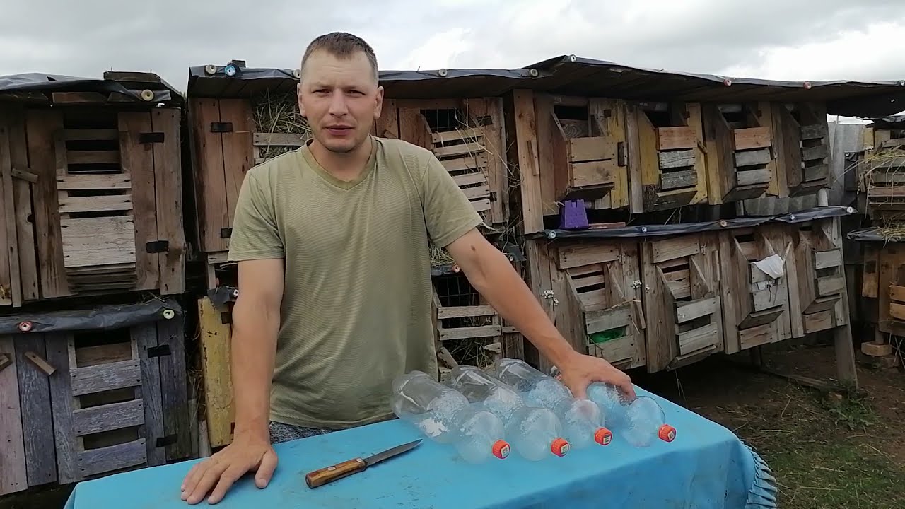 Кролиководство// КРОЛИКИ// Разведение кроликов без вранья