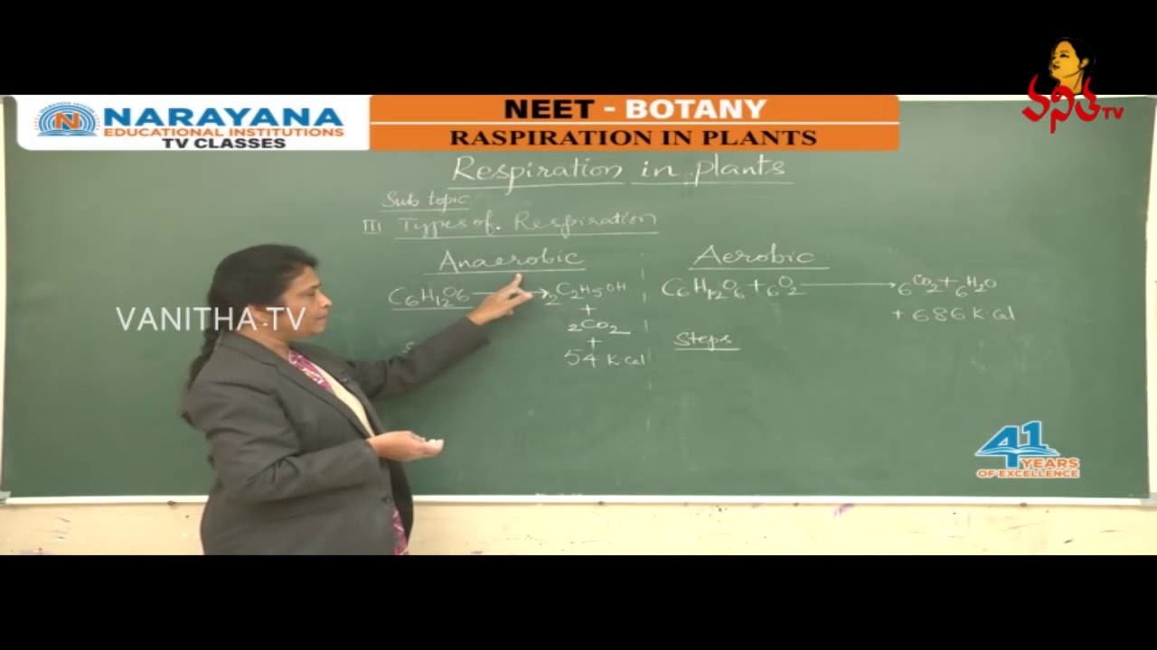 Respiration In Plants | NEET - Botany Class For Intermediate Students | Part - 01 | Vanitha TV