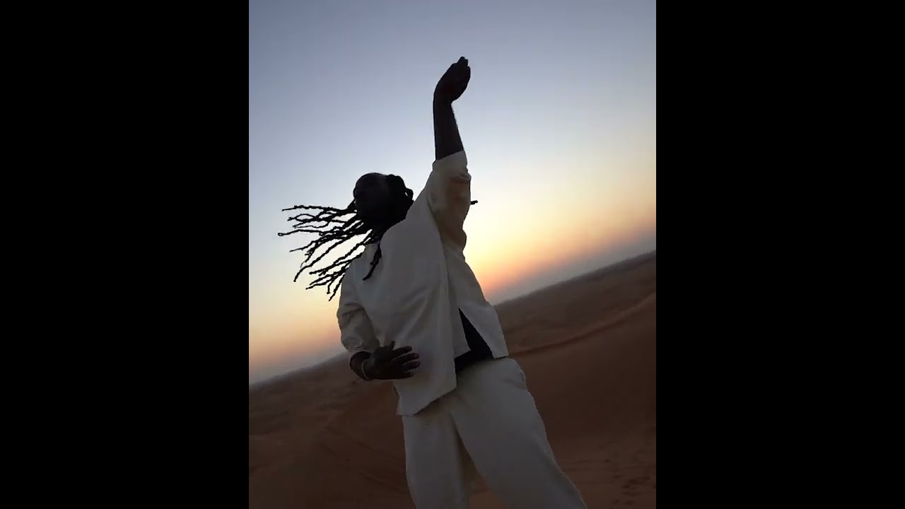 GADDI GAD x LE MAV ( visual )