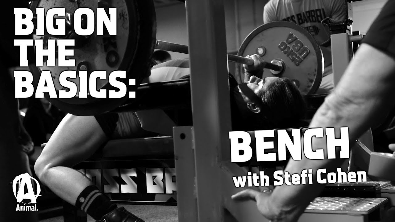 Big On The Basics: Bench with Stefi Cohen