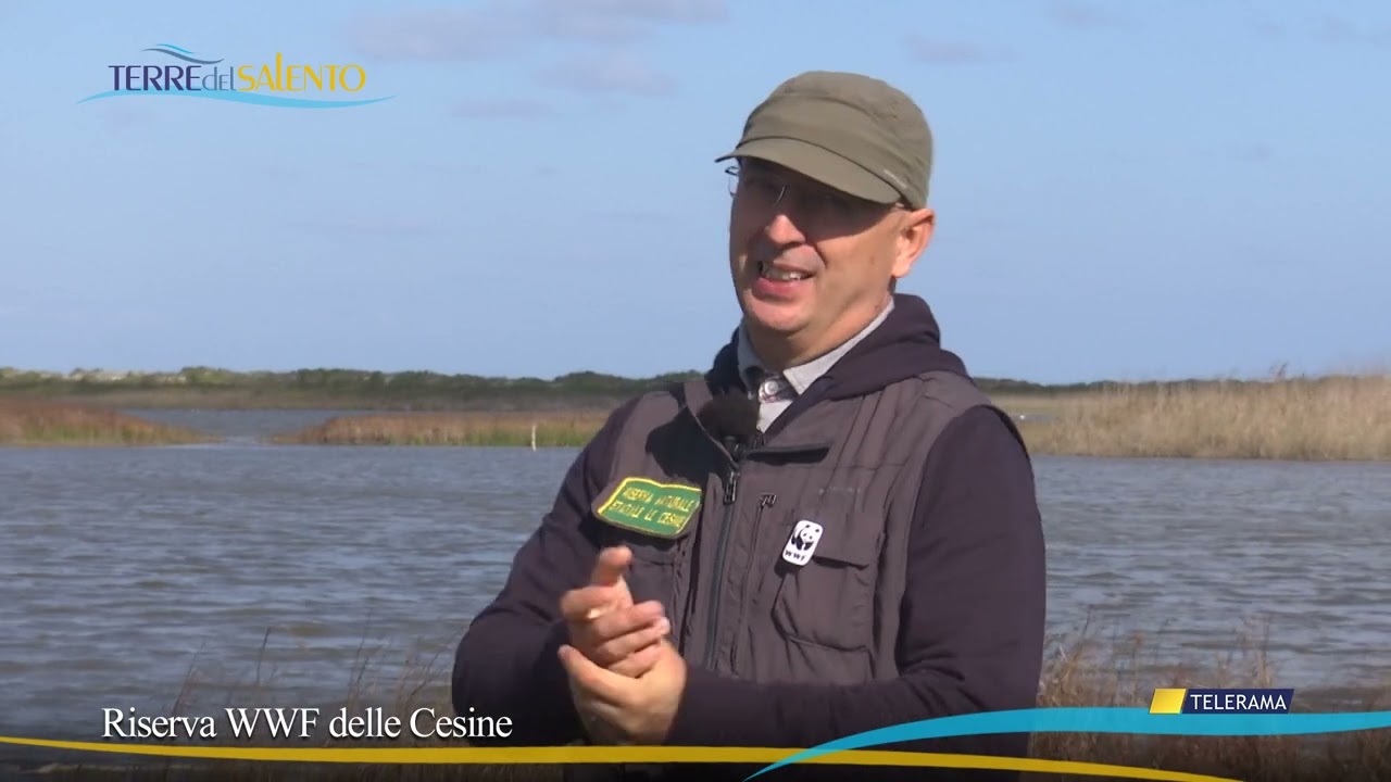 Terre del Salento: l'oasi WWF delle Cesine