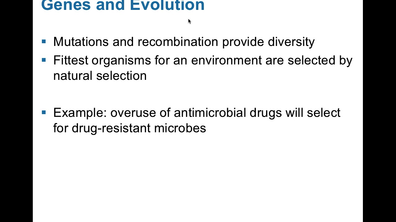 Плазмиды, транспозоны и устойчивость к антибиотикам, аудио Mic Genetics Ppt 2 3 25 2020
