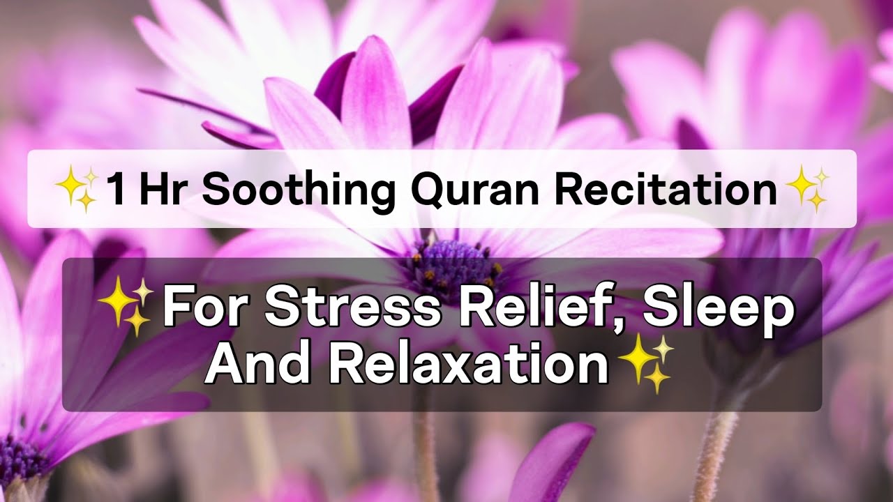 Soothing Quran Recitation for Sleep, Relaxation, & Stress | 1 Hour Beautiful Quran Recitation