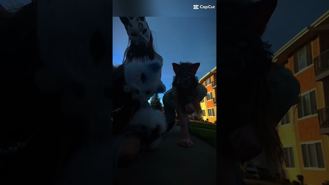 Nature Sage and Icey! #thewildpack #ddv #doggydancevideo #isaidno