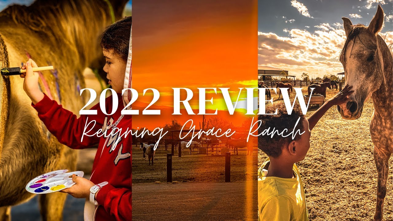 A Year At Reigning Grace Ranch (2022 In Review)
